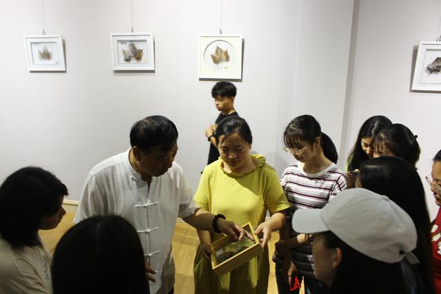 IMG_6855.JPG IMG_6855.JPG